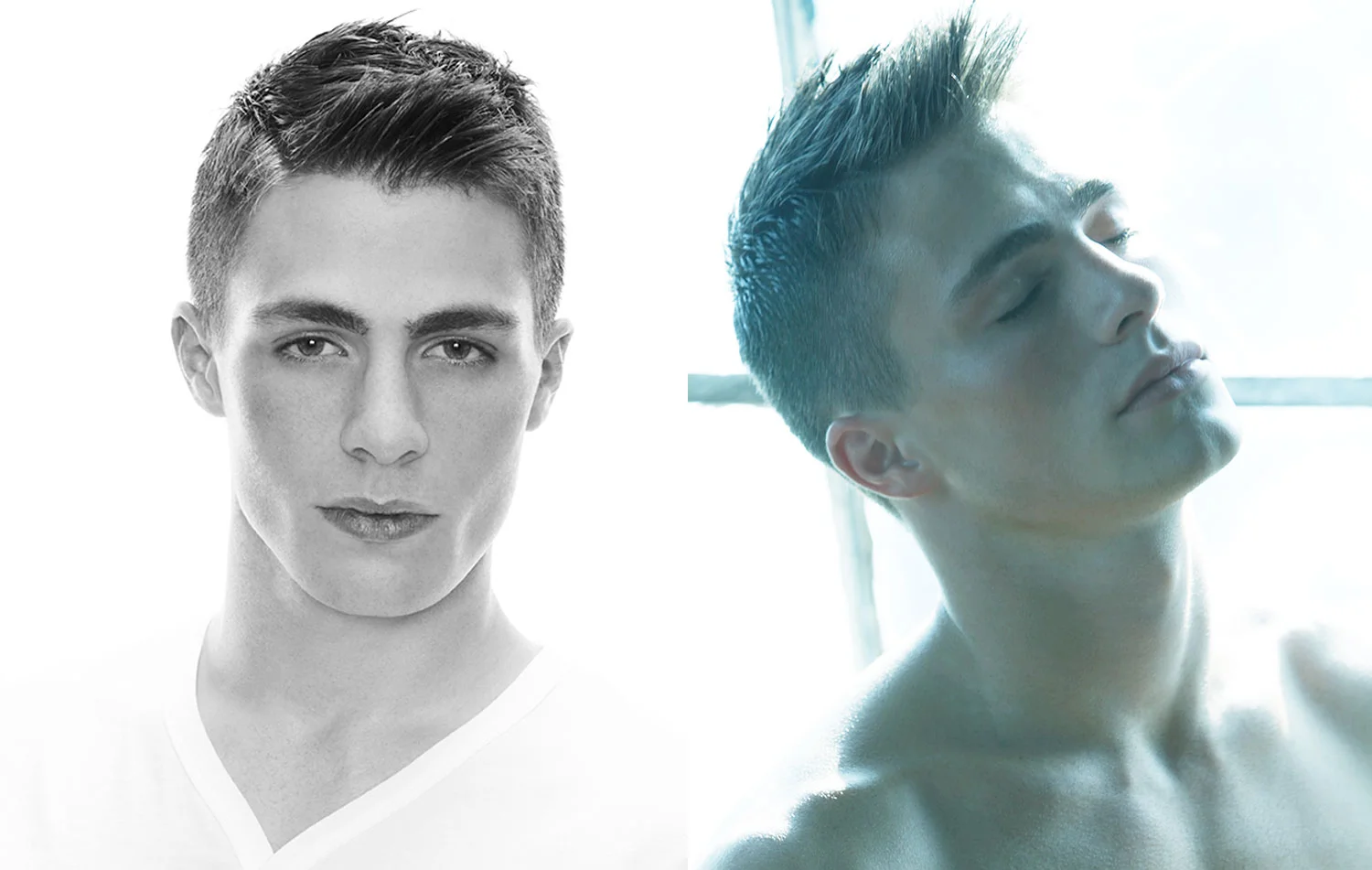 Colton Haynes