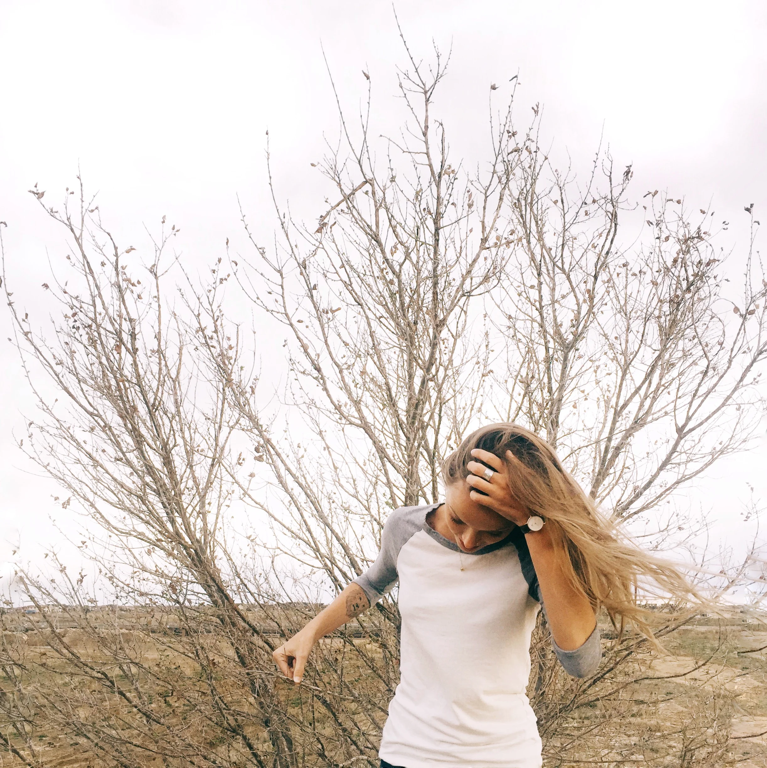 Stories of Storytellers // Taylor Tippett