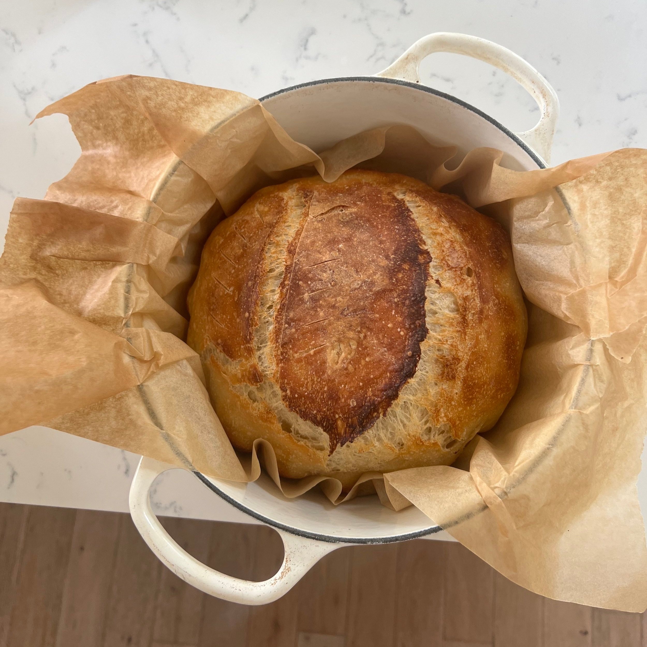 Super Easy Sourdough Bread - Dutch Oven Style - The Wild Gut