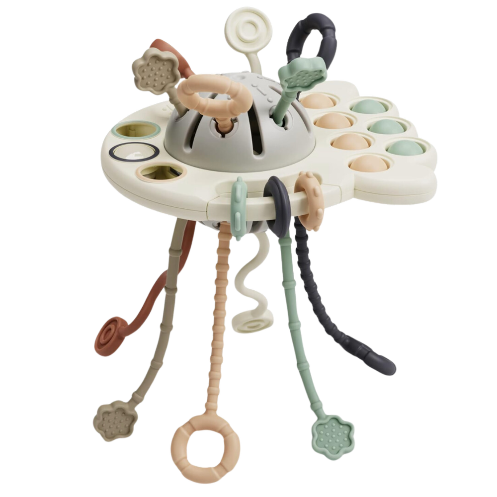 ziggy got this last christmas &amp; still loves it