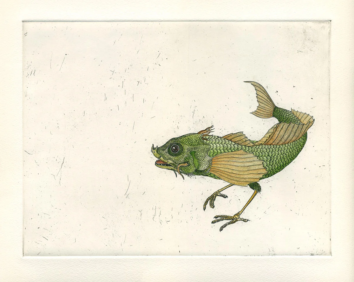 Briony Morrow-Cribbs, Agonis Avialae , etching