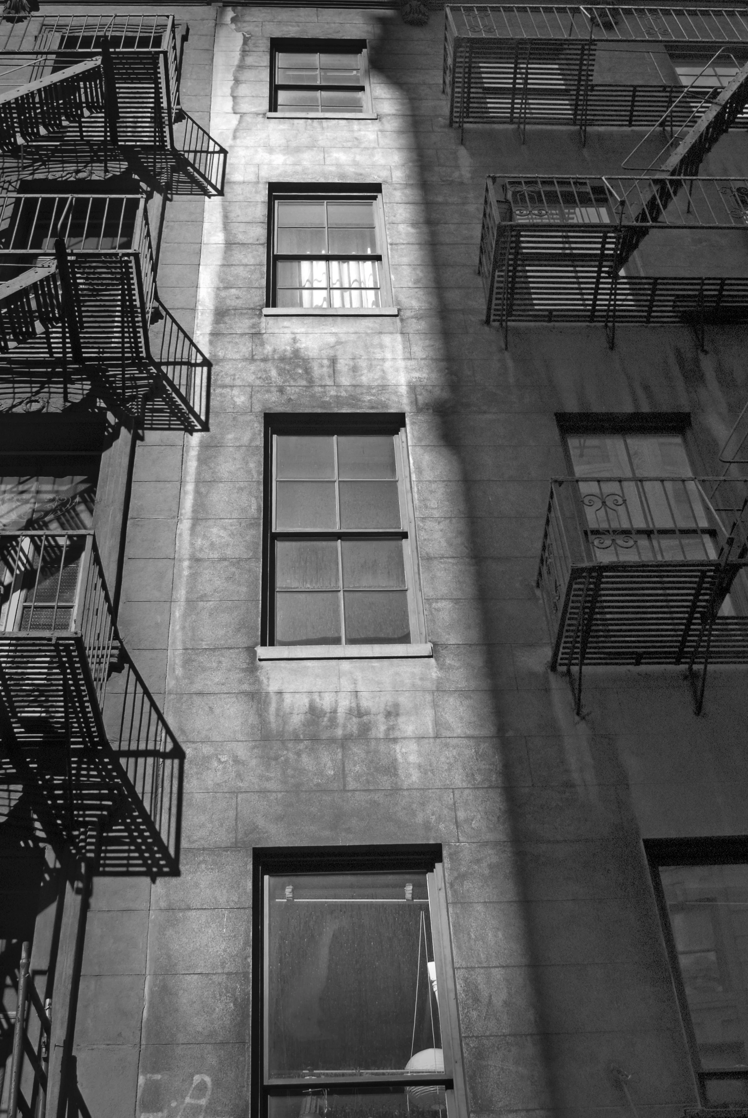 New York Windows-1.jpg