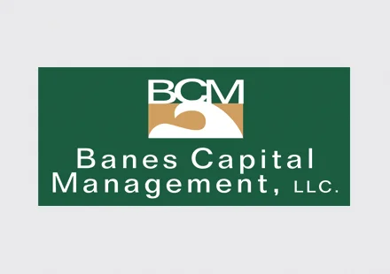 sponsor-banes@2x.jpg