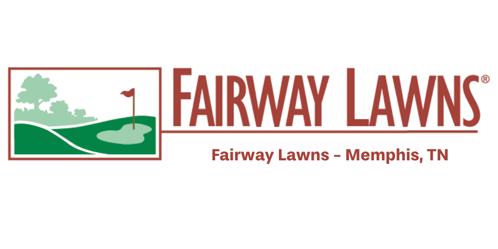 Your paragraph text (1000 x 500 px).png