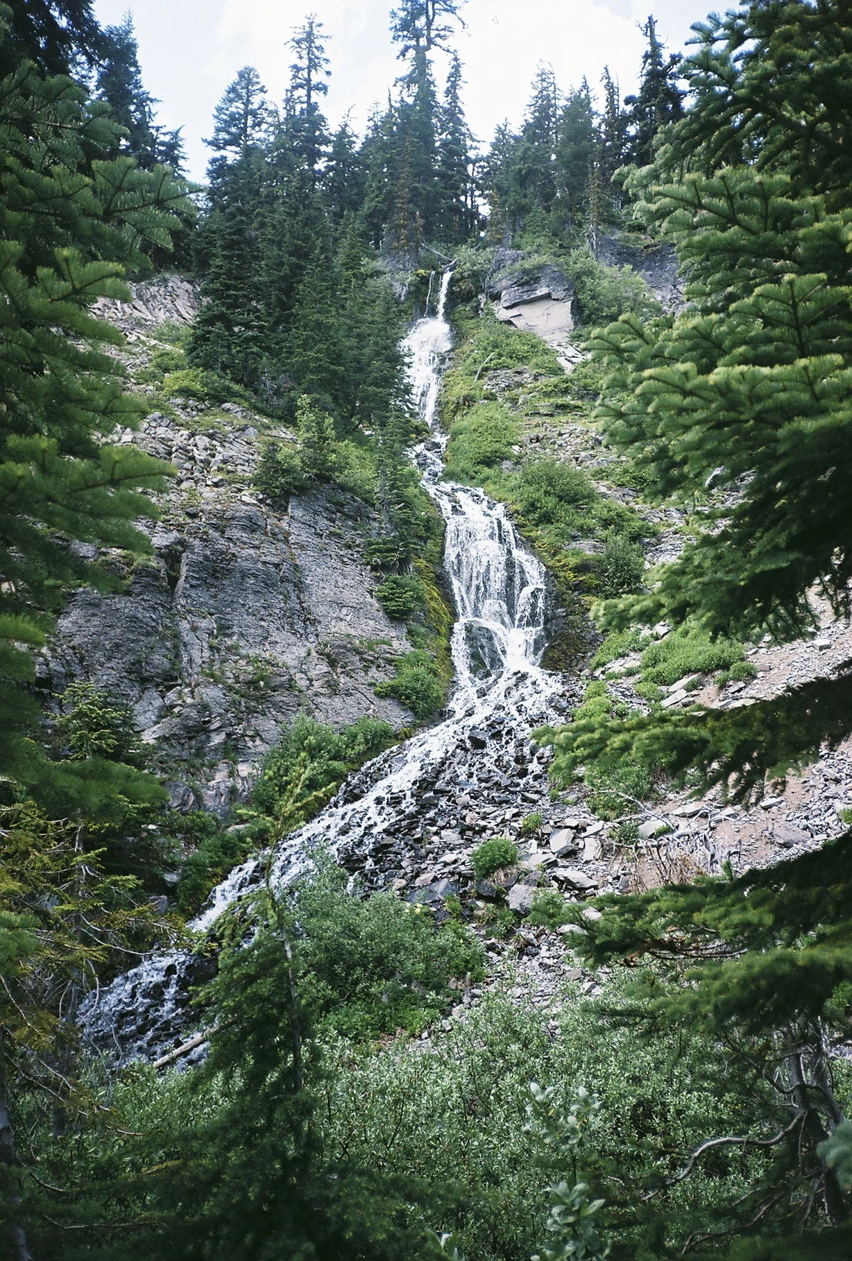 tumblr_nc0oc9hcI31rpeq9so1_1280.jpg