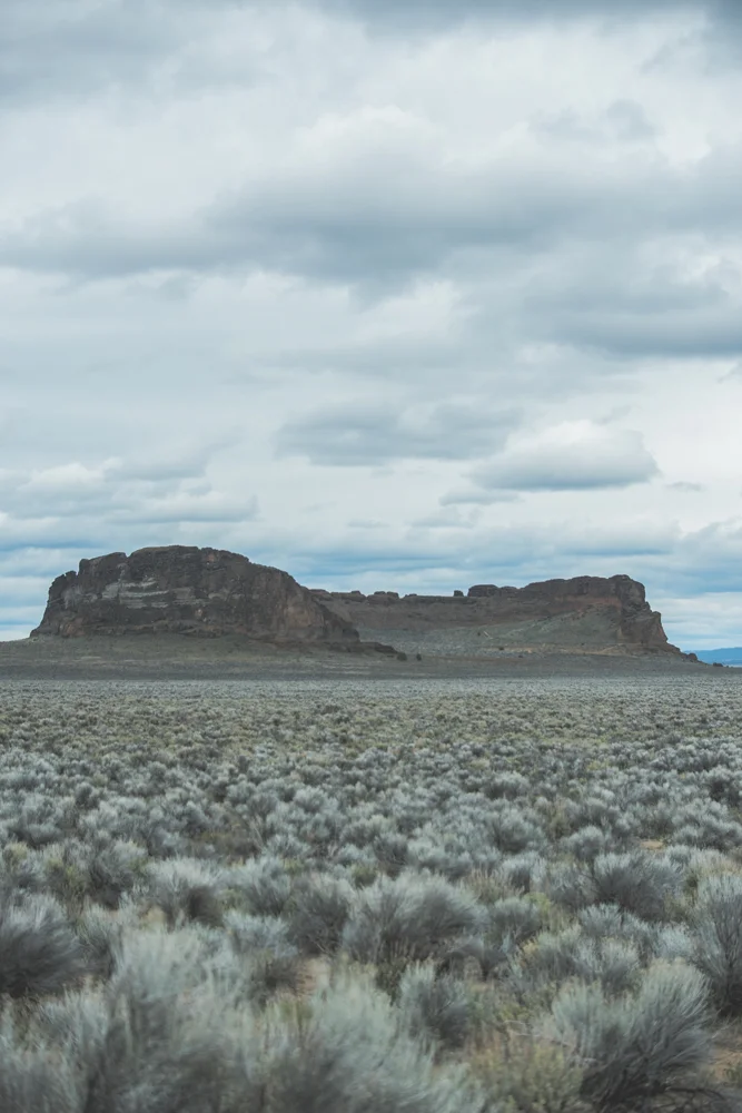 DSC_2692.jpg