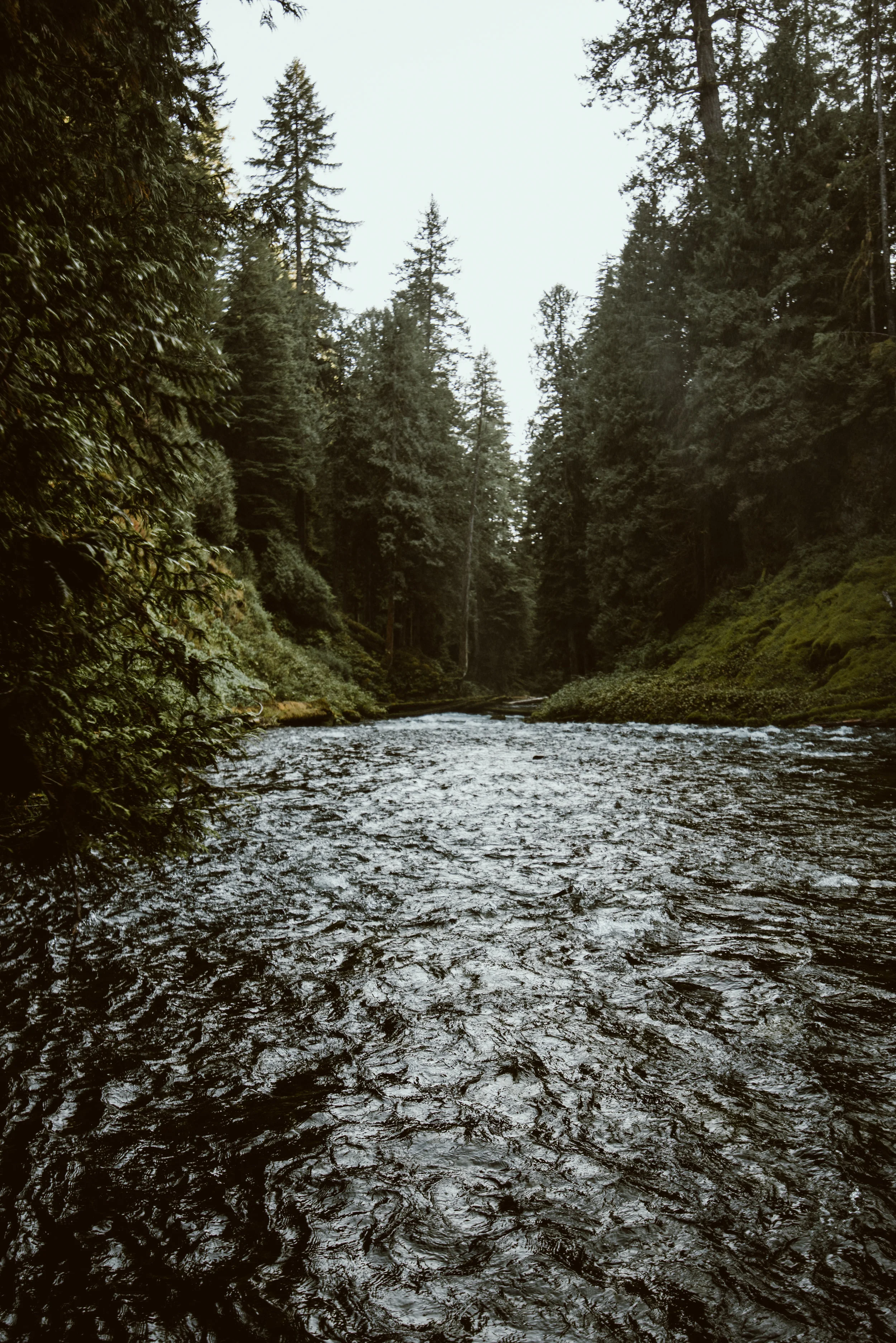 DSC_7714.jpg