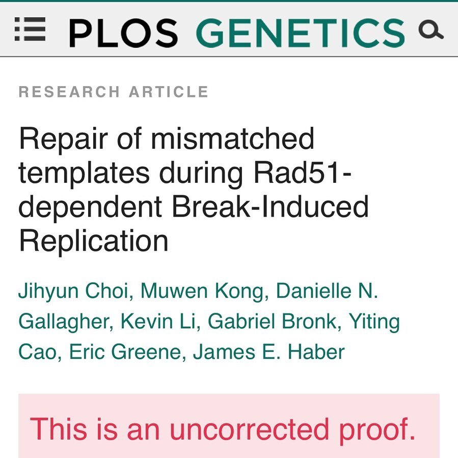 Check out our latest paper, in collaboration with Jim Haber&rsquo;s group at Brandeis. Out now on Plos Genetics @plosjournals !