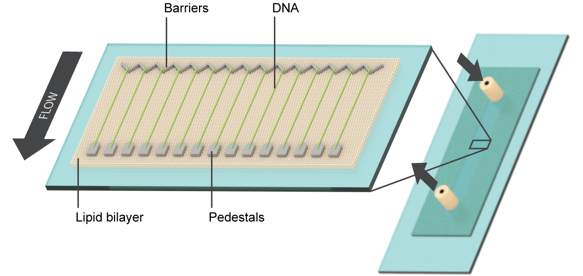 Slide Diagram