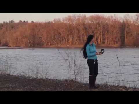 Drone Day - Cinematography Short