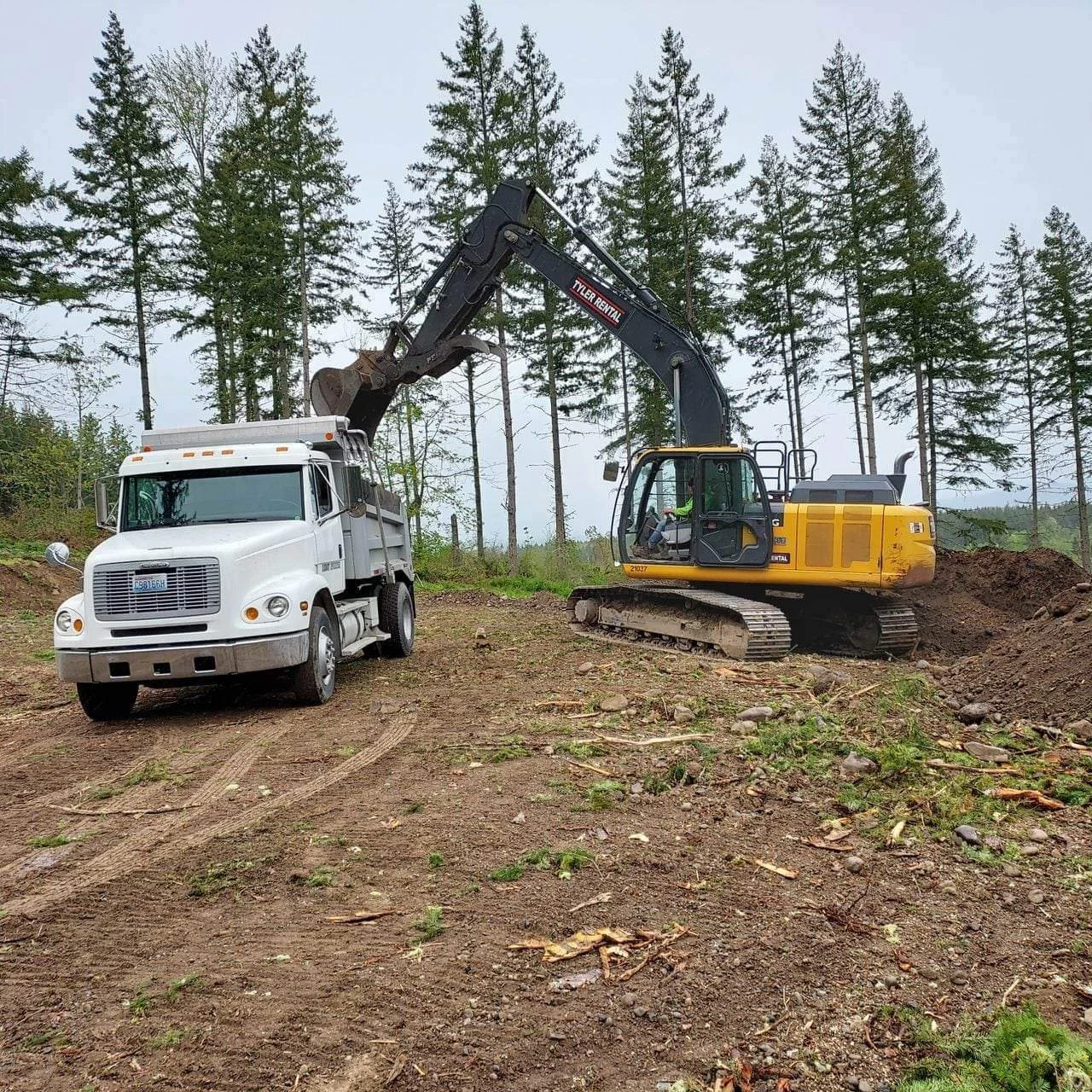 received_1129021084462199 (1).jpeg