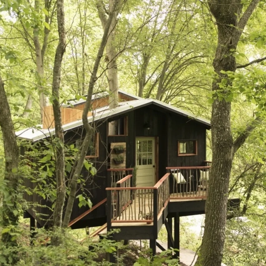 Elements Treehouse.jpg