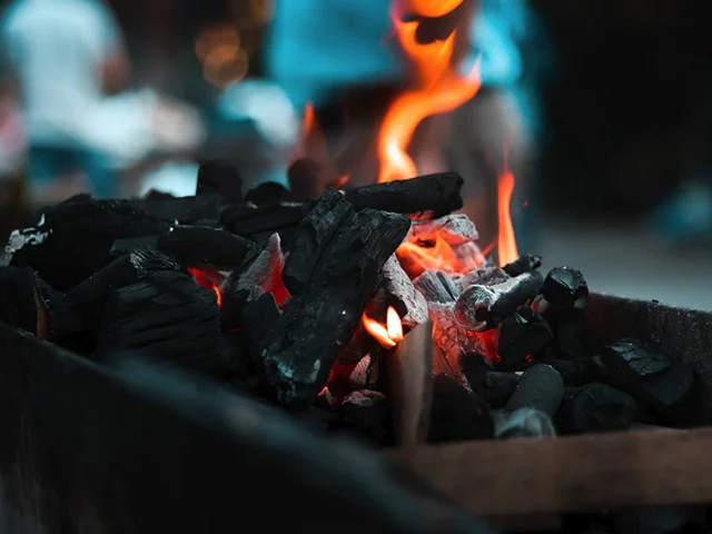 The REI Treehouse Club Summer Event Series