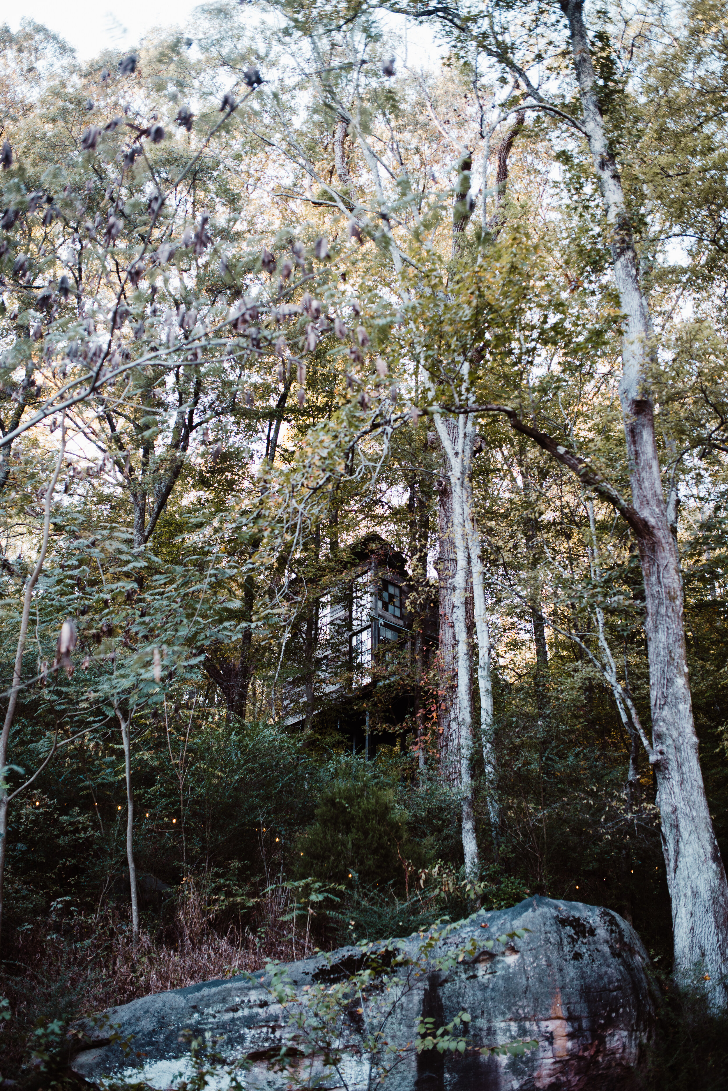 Luna Loft in the Trees