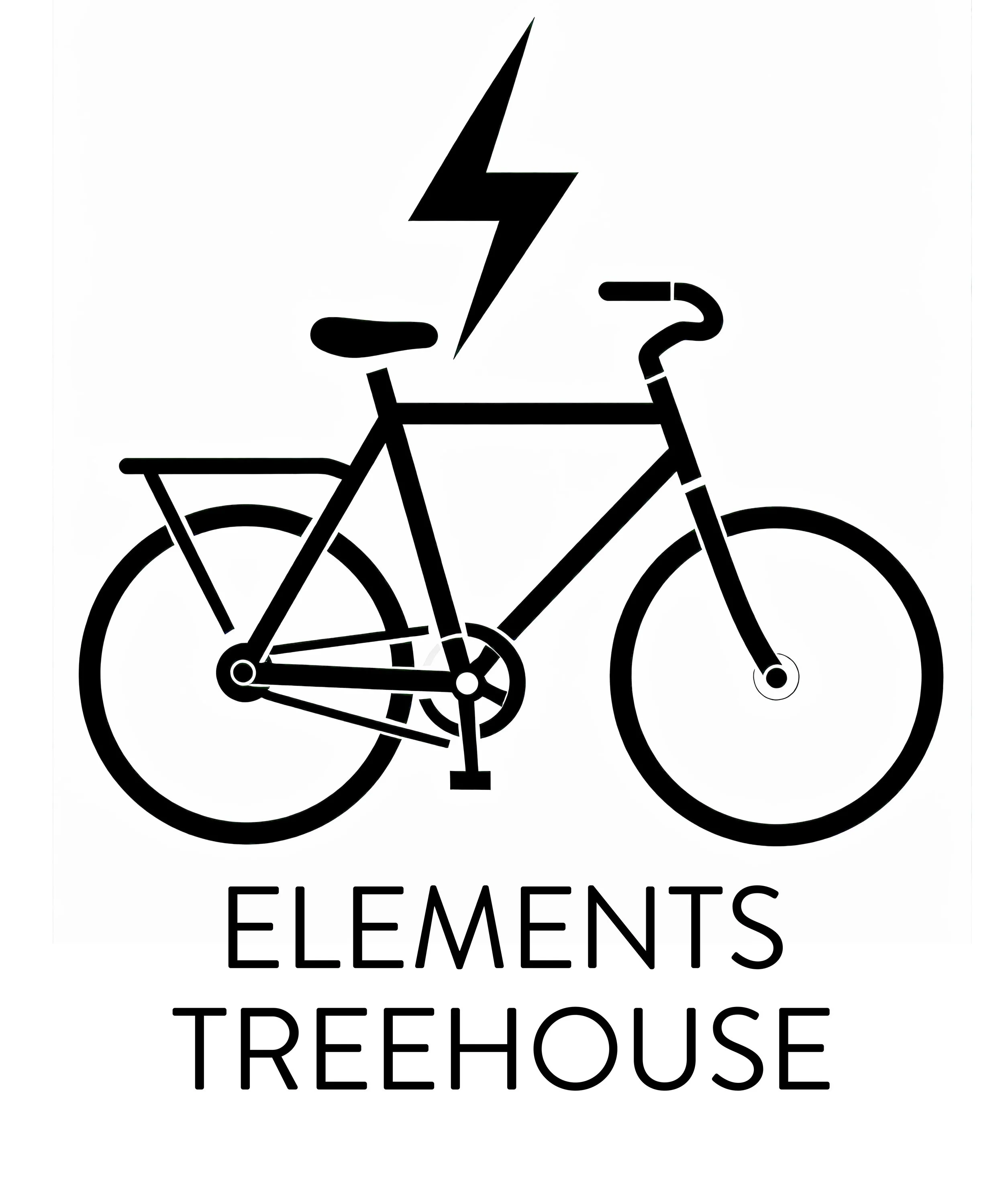 Elements Ebike image.JPG
