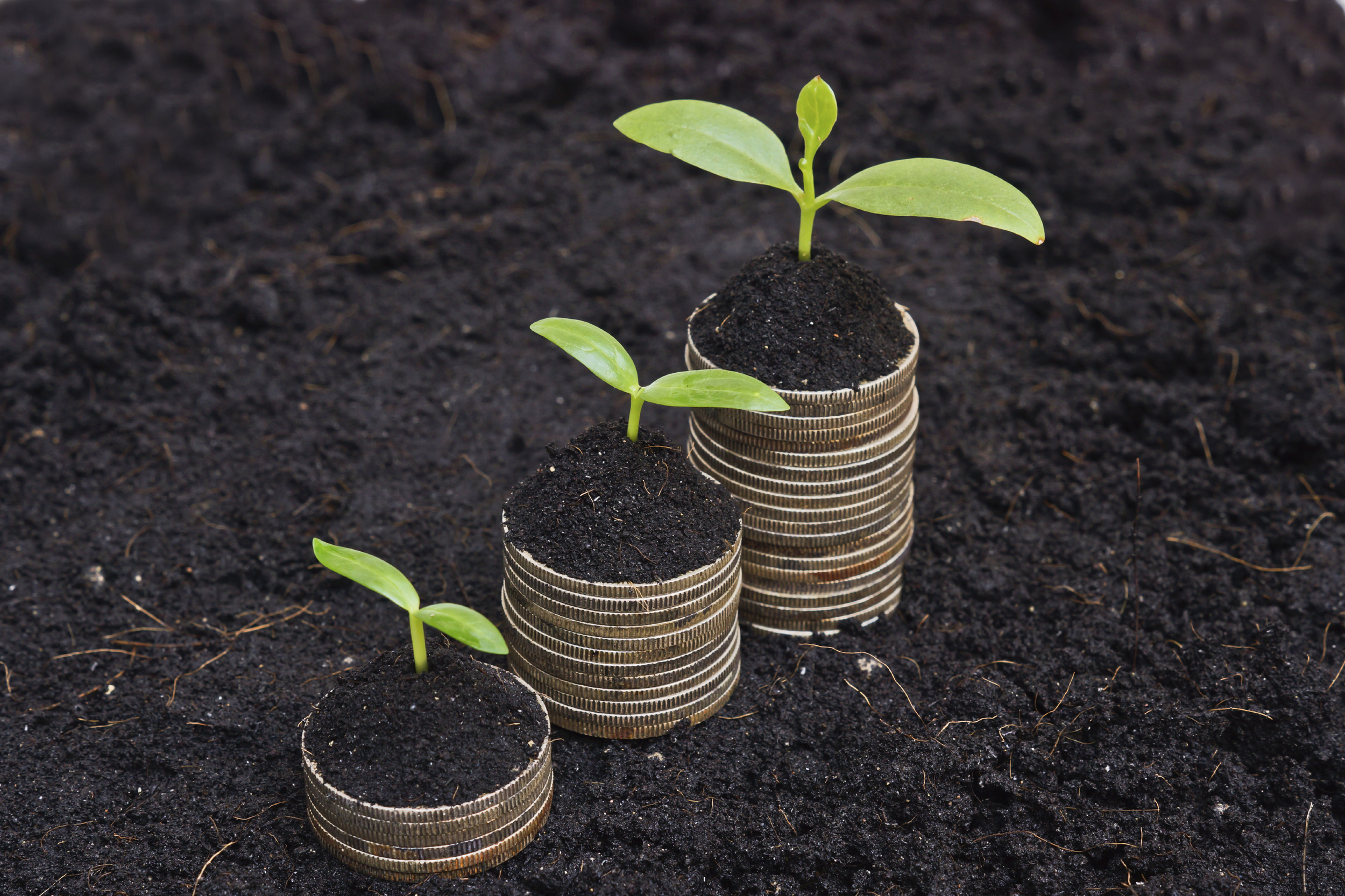 iStock_000049973476_Large.jpg