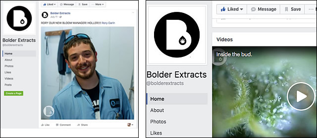 Bolder on Facebook
