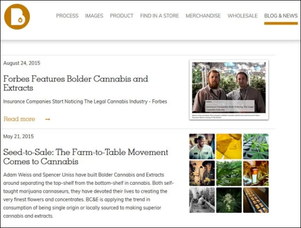 Sample blog posts