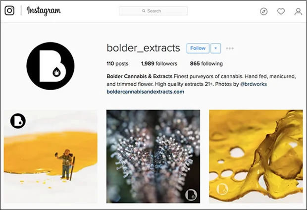 Bolder on Instagram