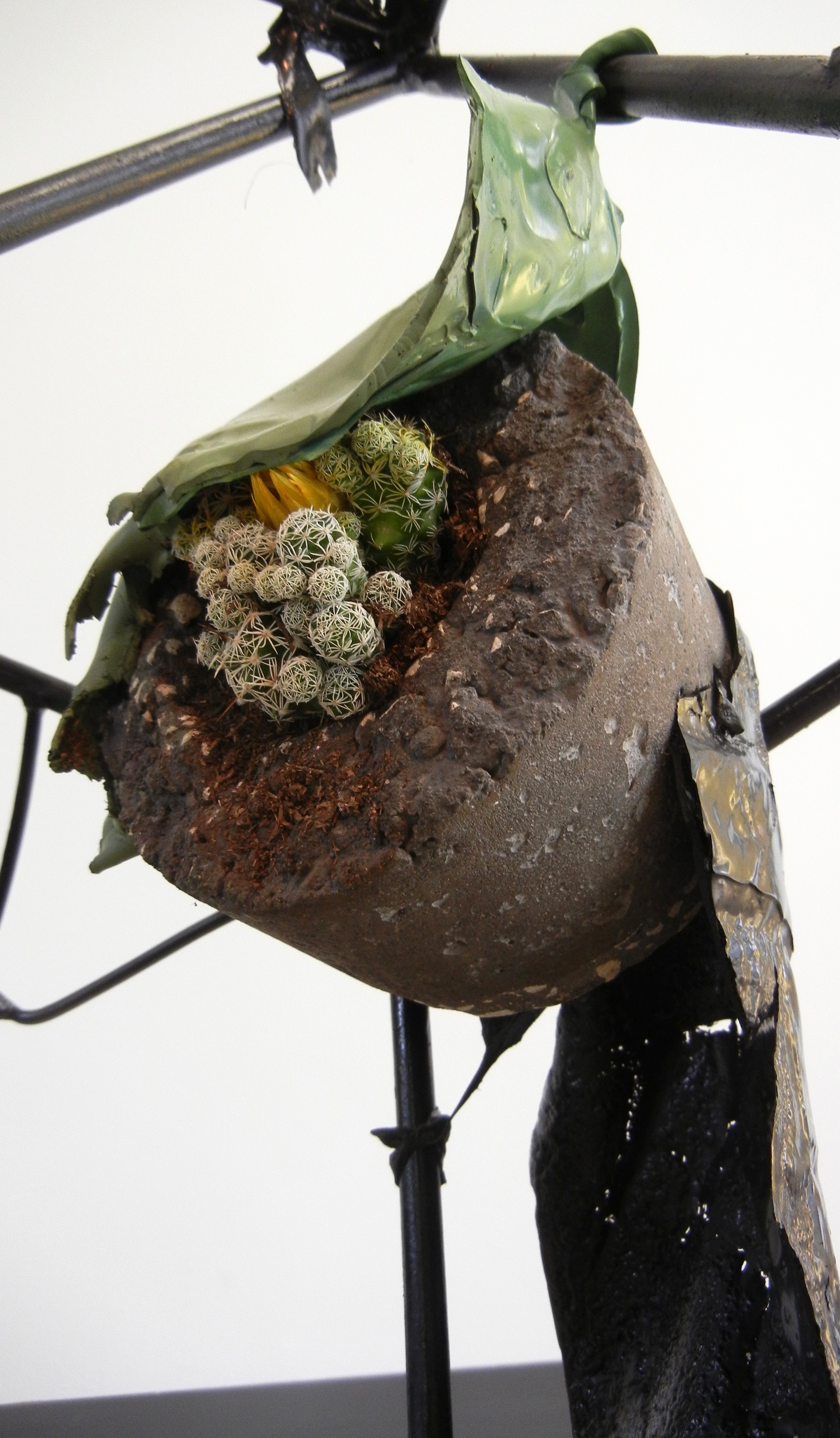 A flower eaten by a snake