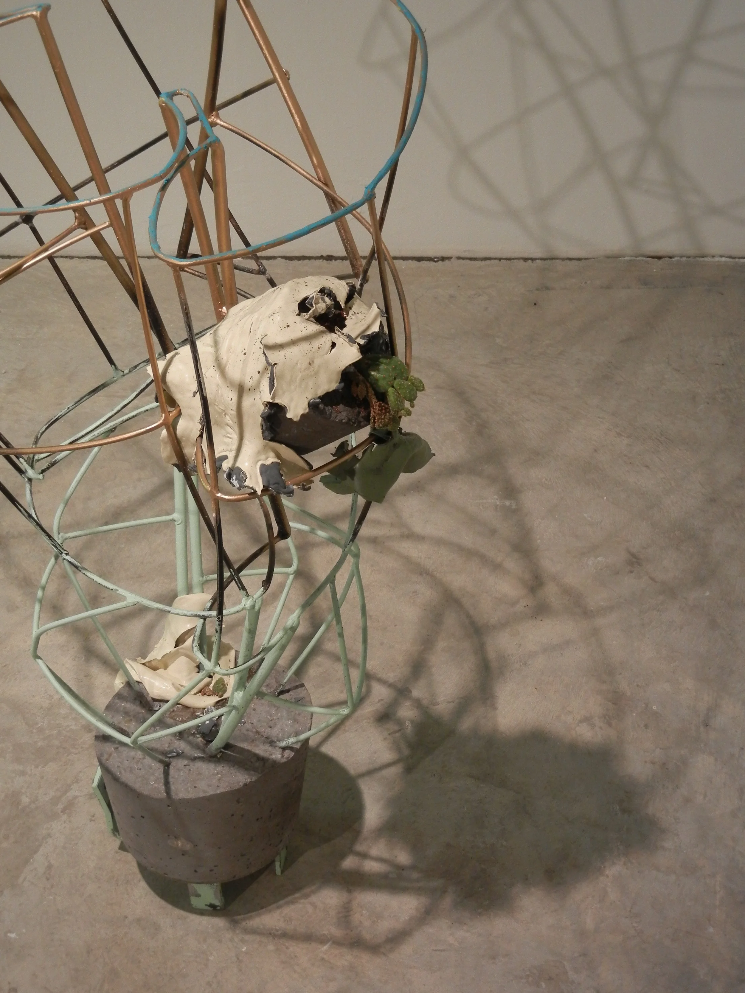 Clambering along the edge (Copy)