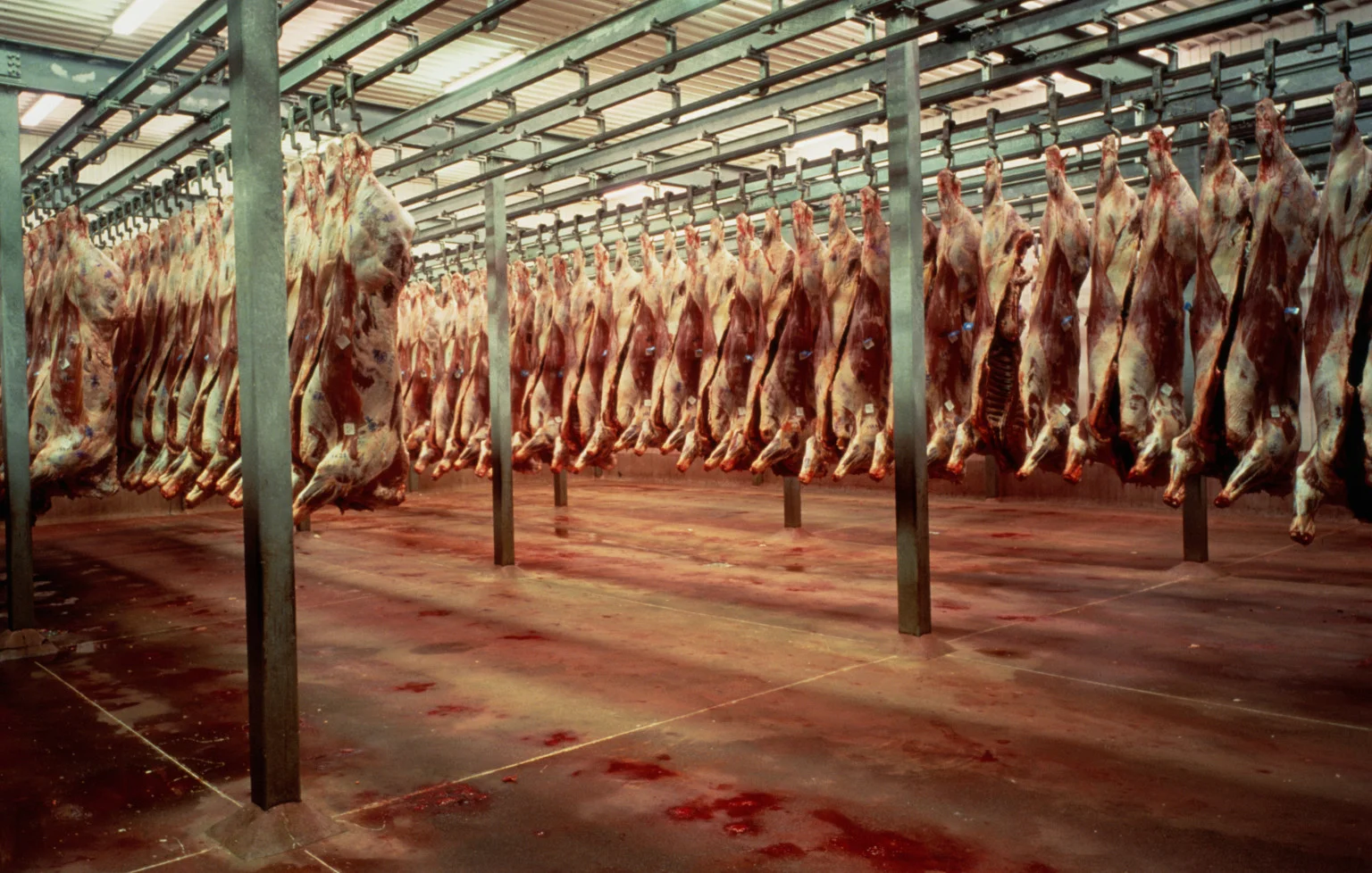 o-SLAUGHTERHOUSE-facebook.jpg