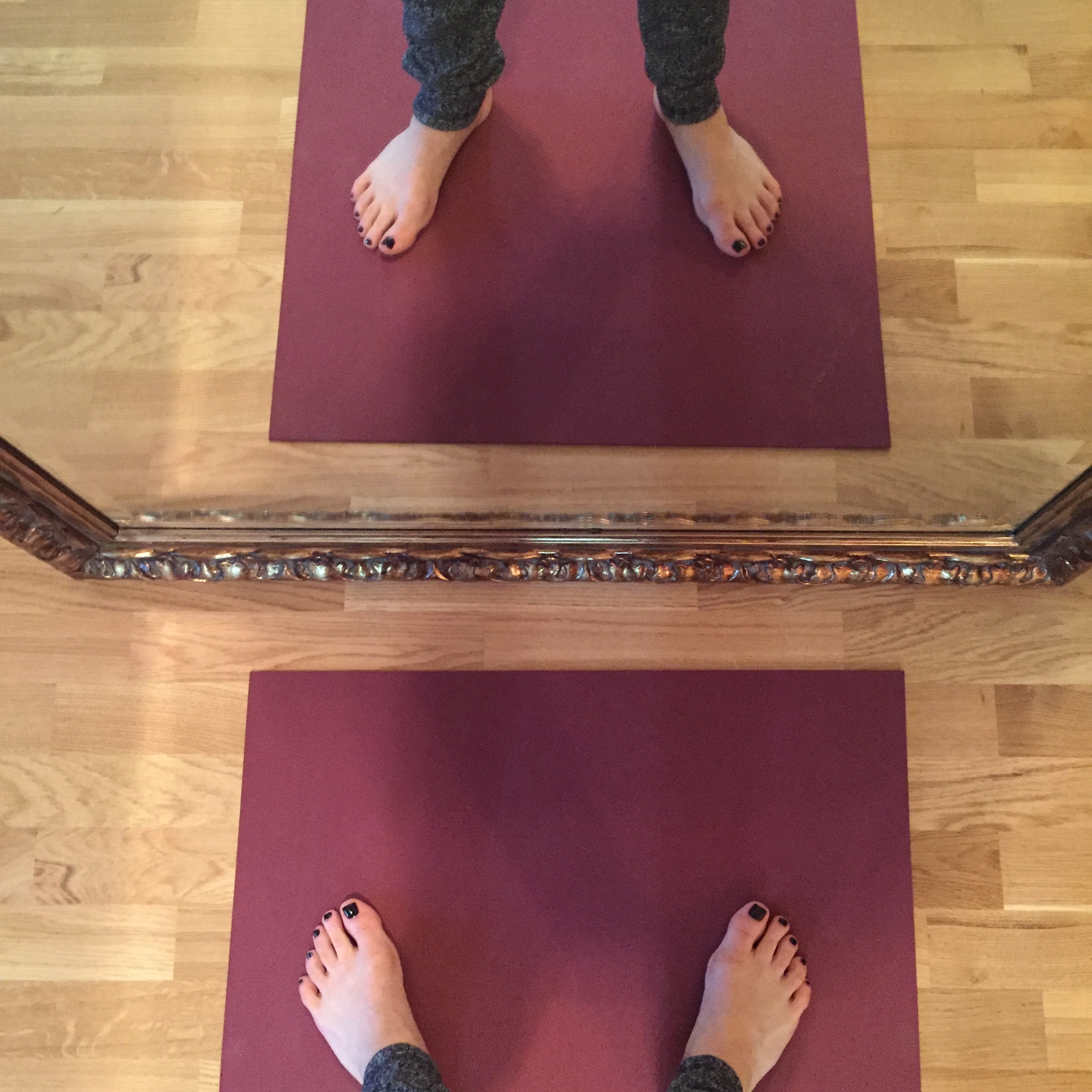 Looking Back at 2015