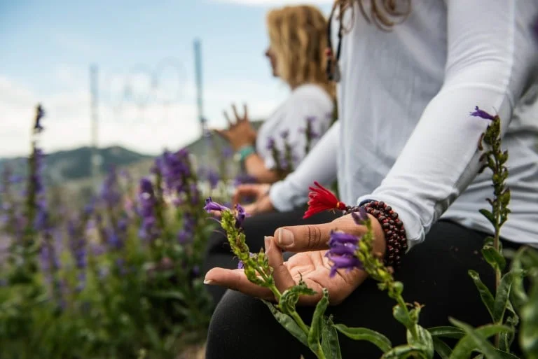 2016 Wellness Trends Forecast