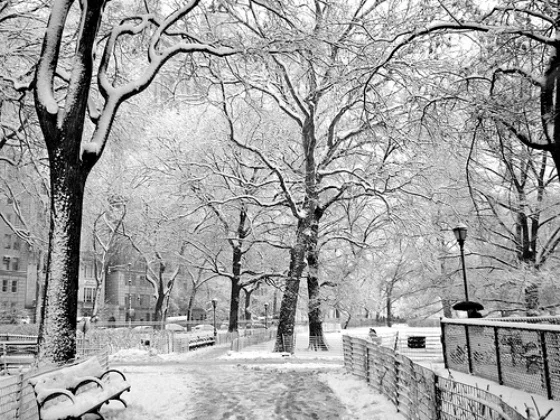 Cold Weather Beauty Must Haves