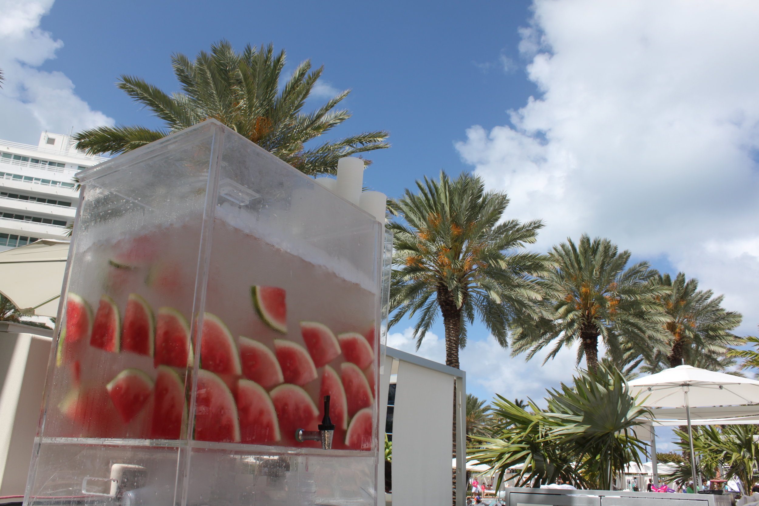 Adventures at the Fontainebleau Miami Beach