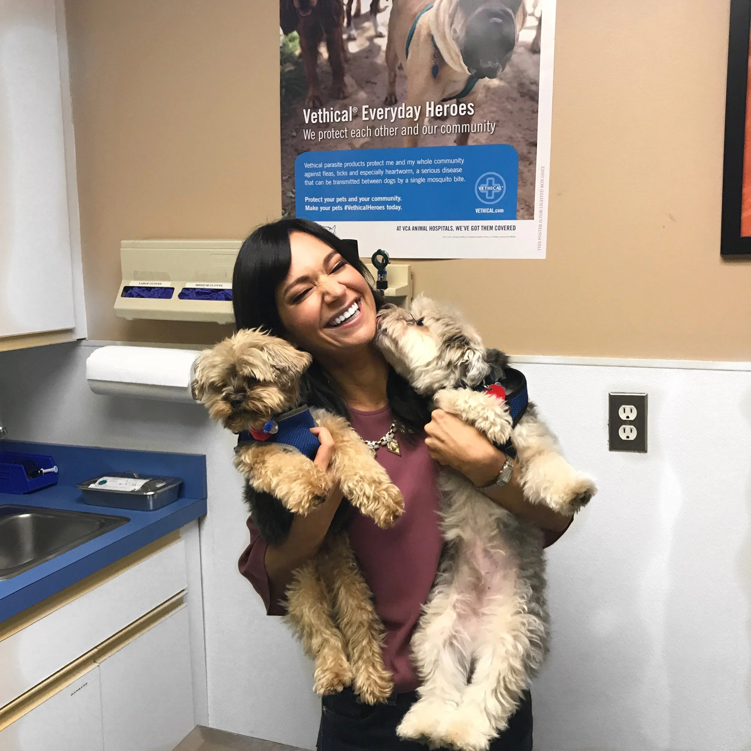 Help Clear Animal Shelters with NBC