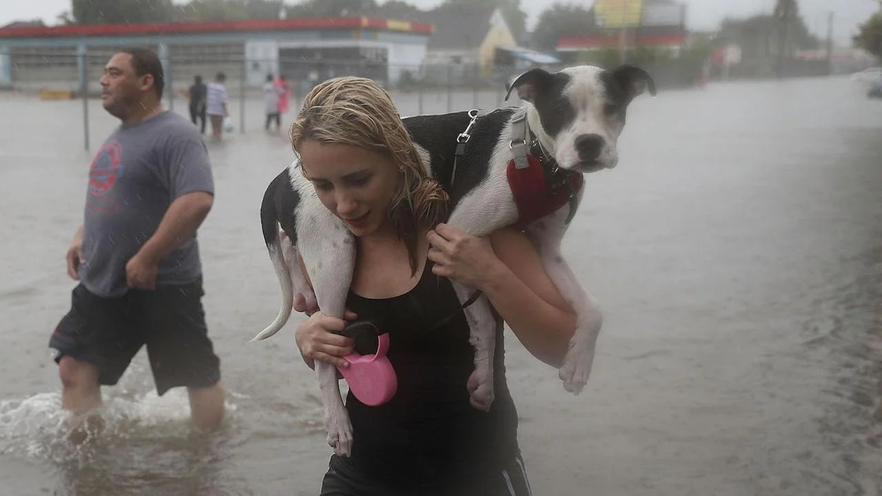 Hurricane Harvey: How You Can Help