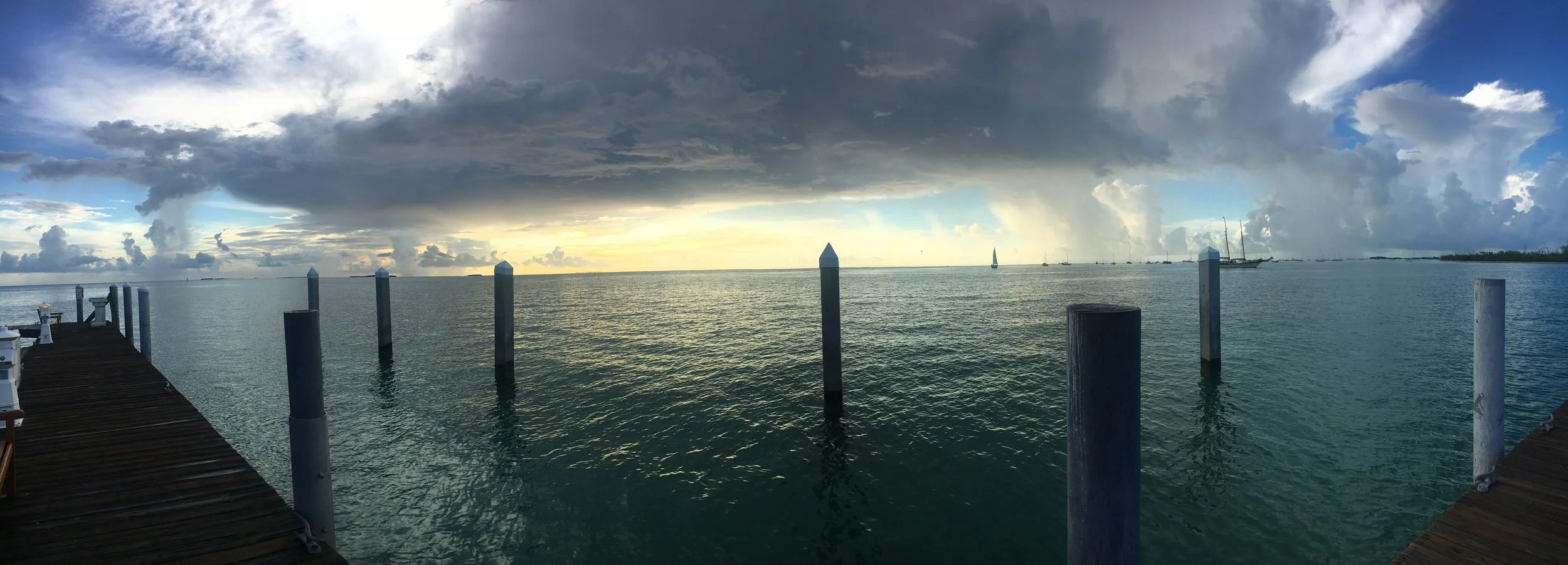 What Happened?  Why?  What Can We Do?