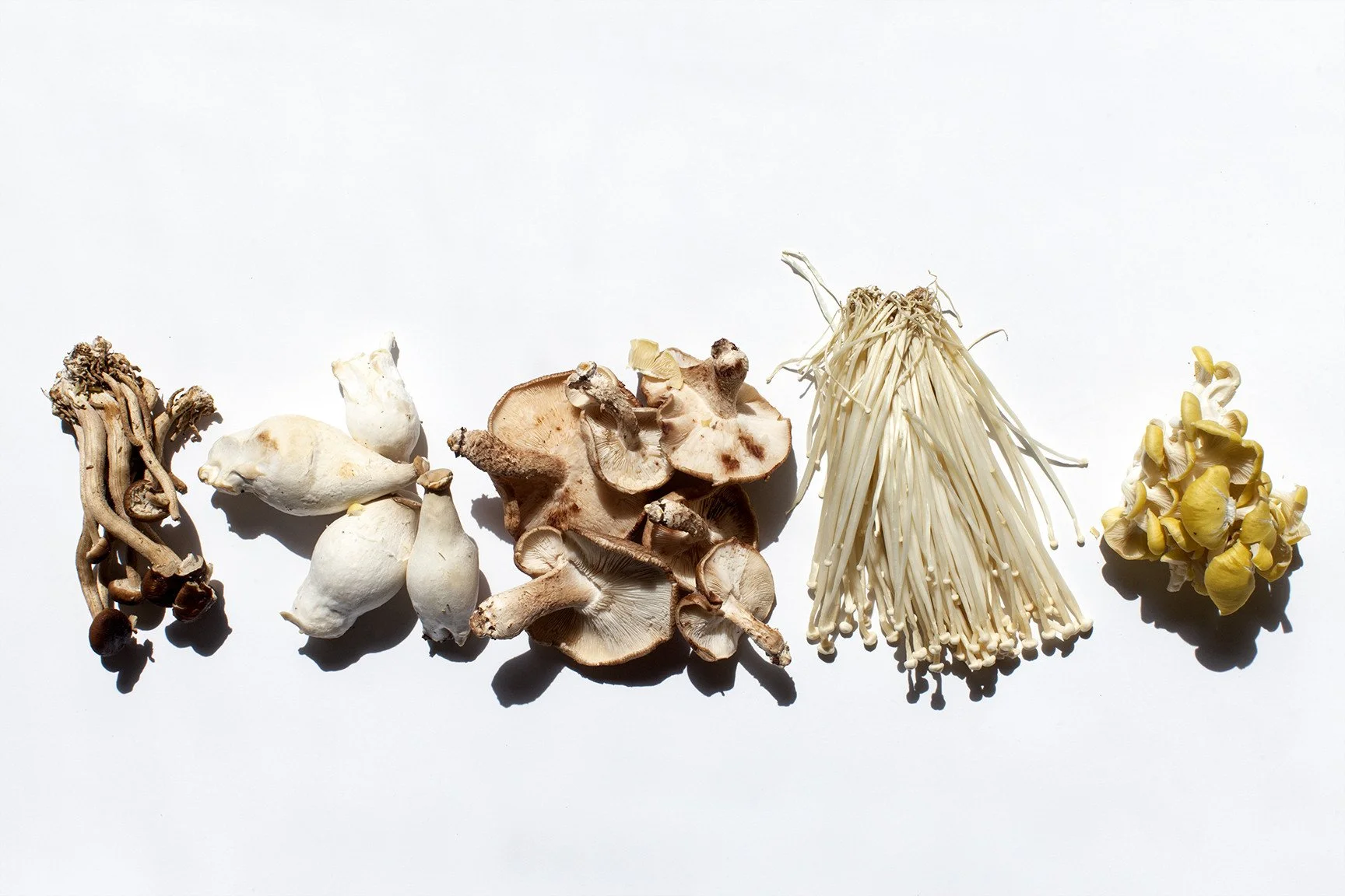Why Mushrooms Should Be Part of Your Diet & Skincare Regimen