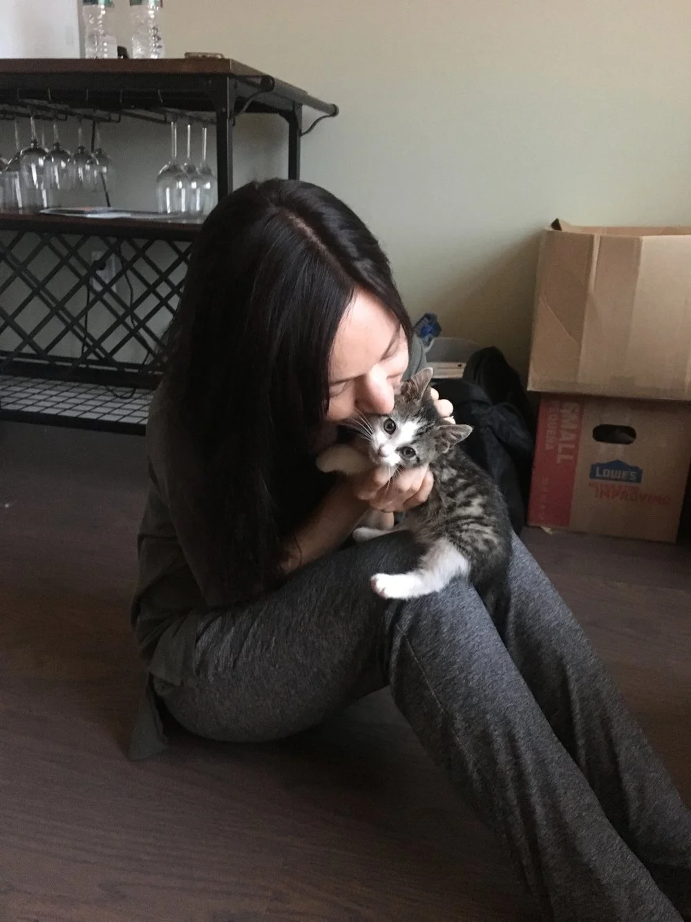 Everything You Need to Know About Fostering