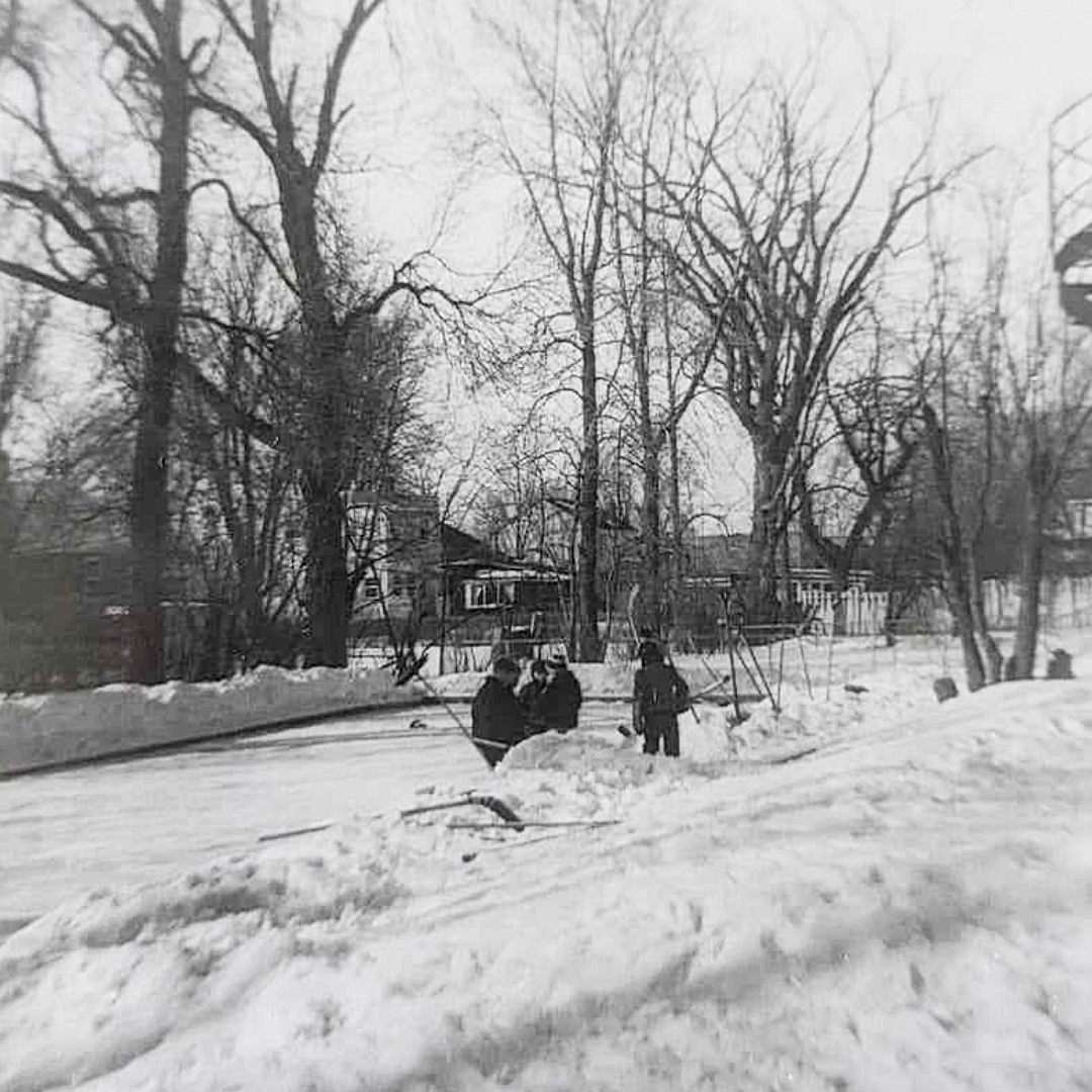 The Mathieson Backyard Rink ...Rink of Dorval Dreams