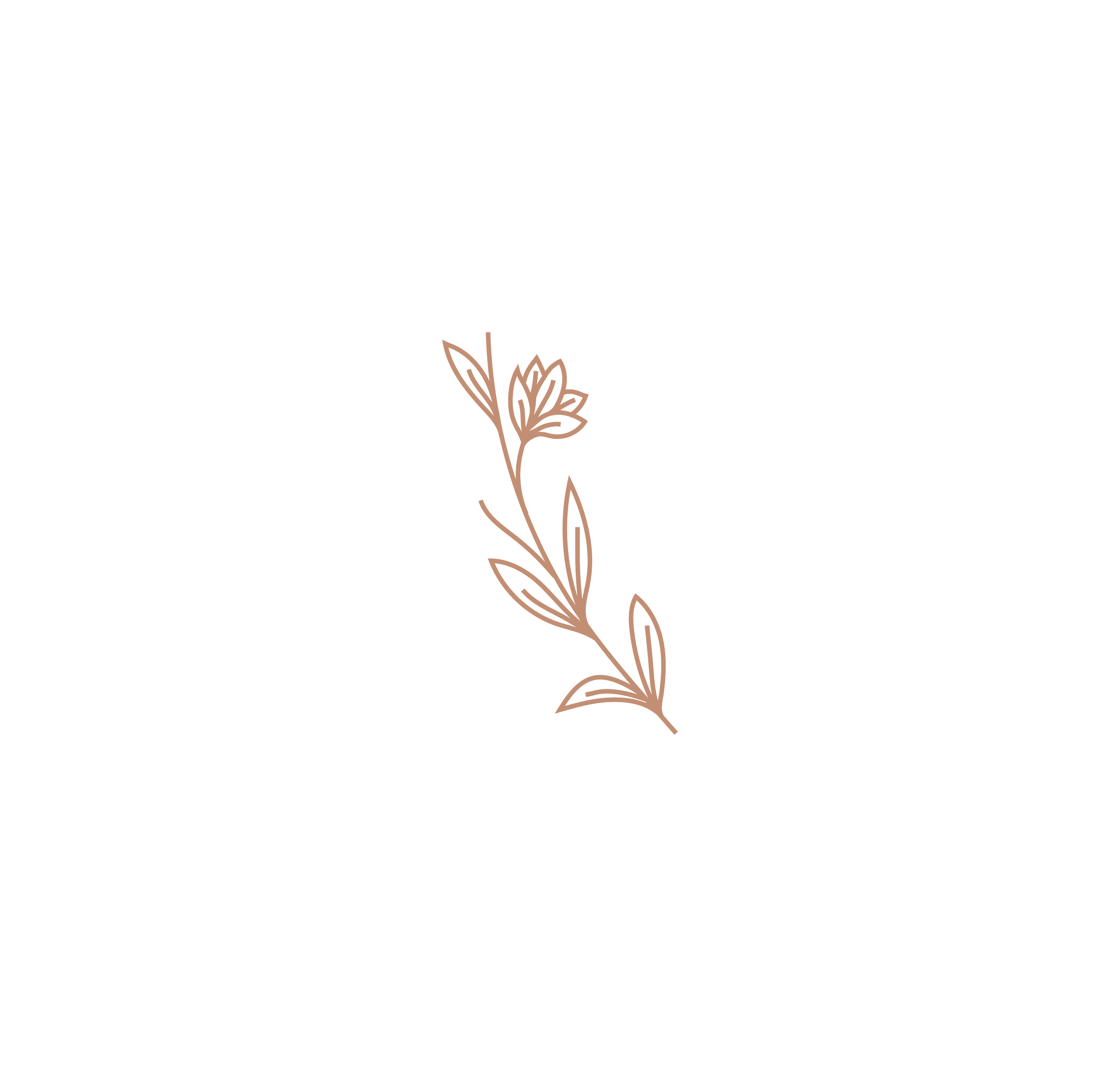 Emily Hilleshiem Photography-08.png