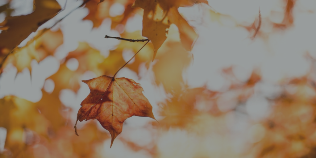 Getting the Word Out - October 2017 