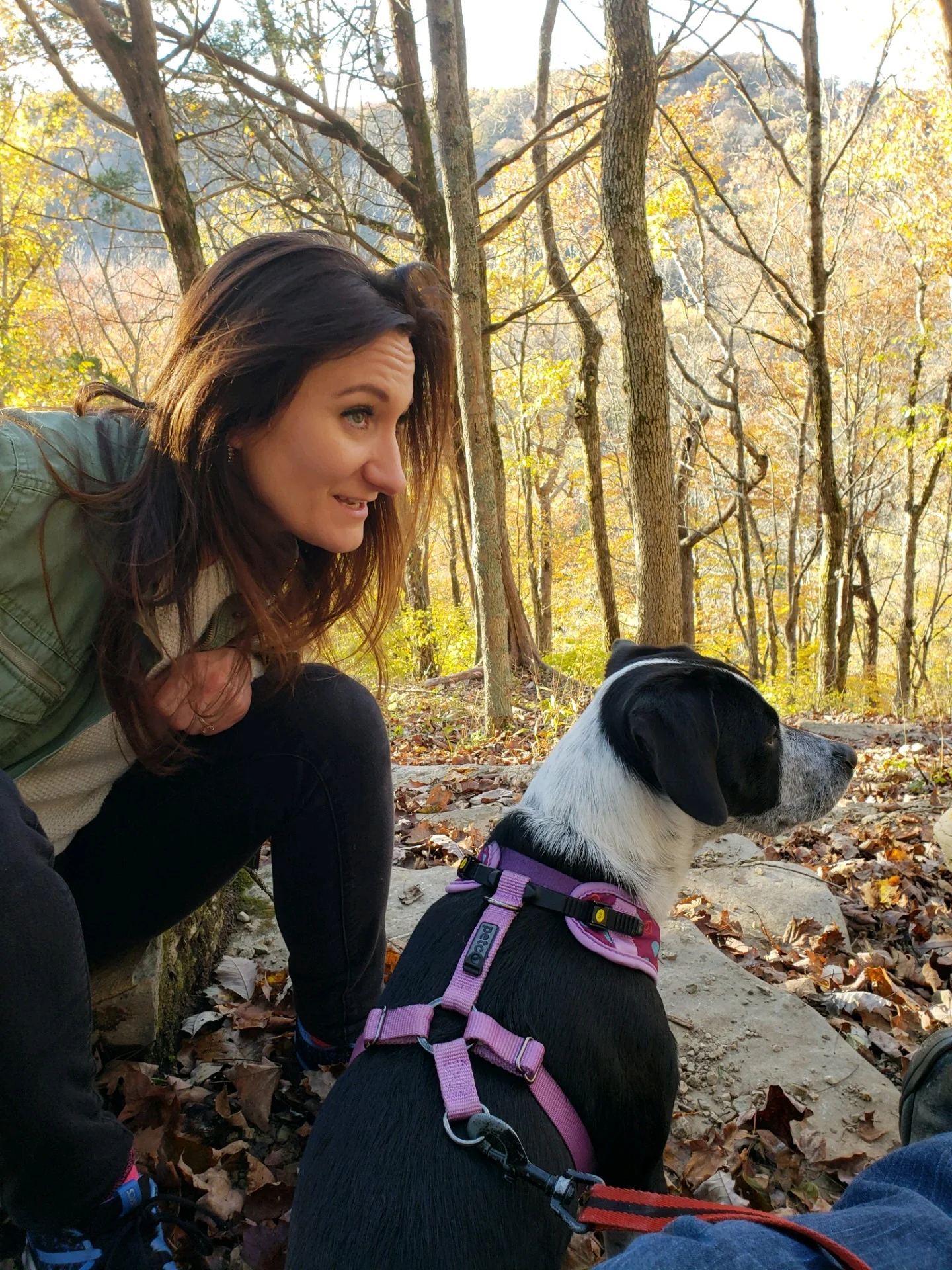 Therapy_Dog_Hike.jpg