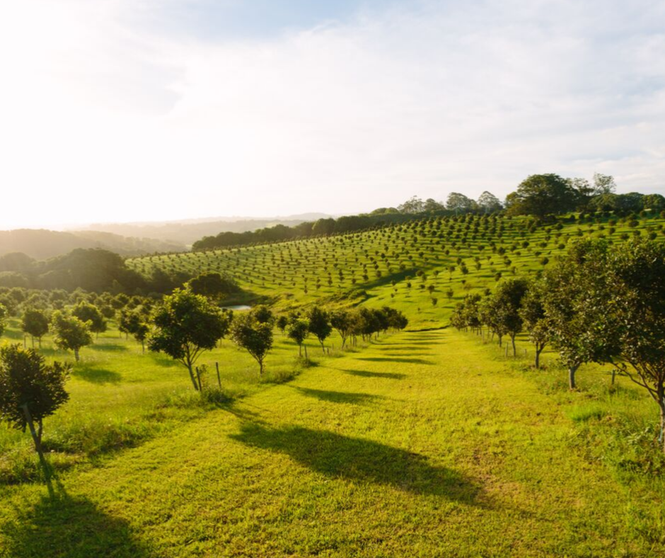 We Are On&nbsp; A Mission