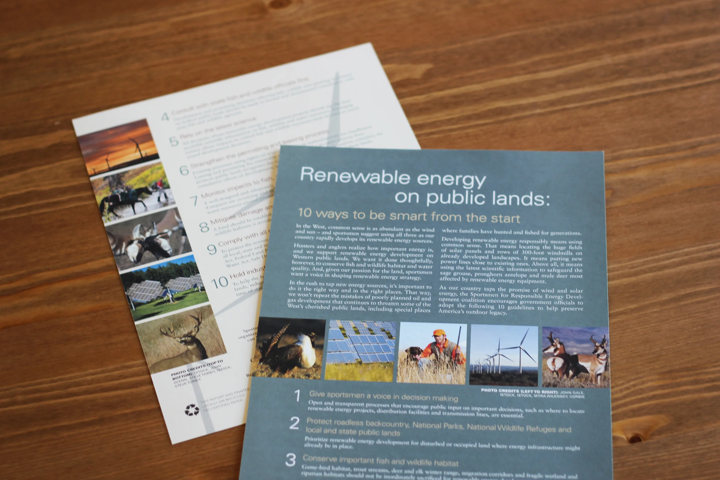 print_RenewableEnergy.jpg