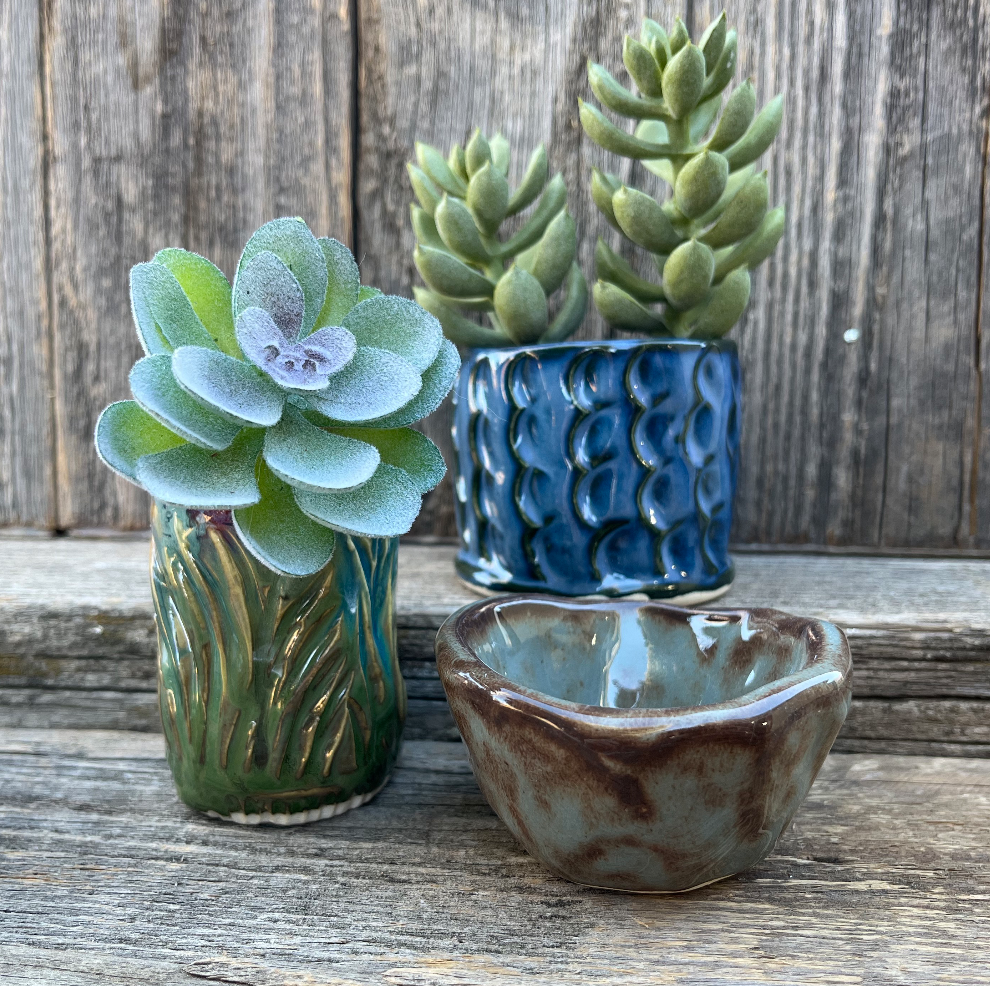 Succulent Slab Pots