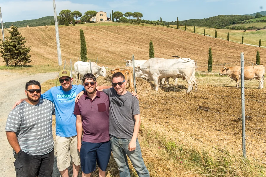 Damian, Cory, Shawn and John in Tuscany with our friends, the Chianina.