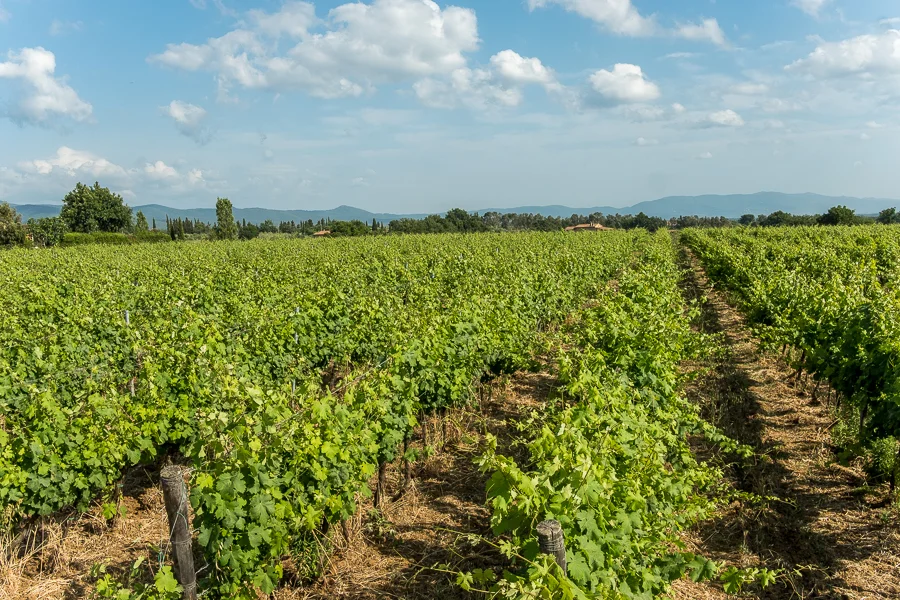 tuscany.093.jpg