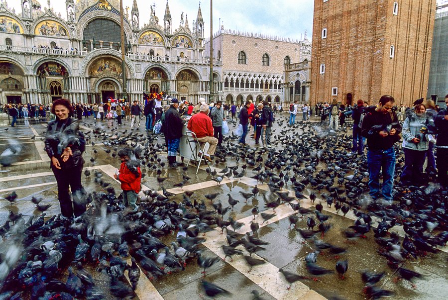 St. Marks Square - Venice
