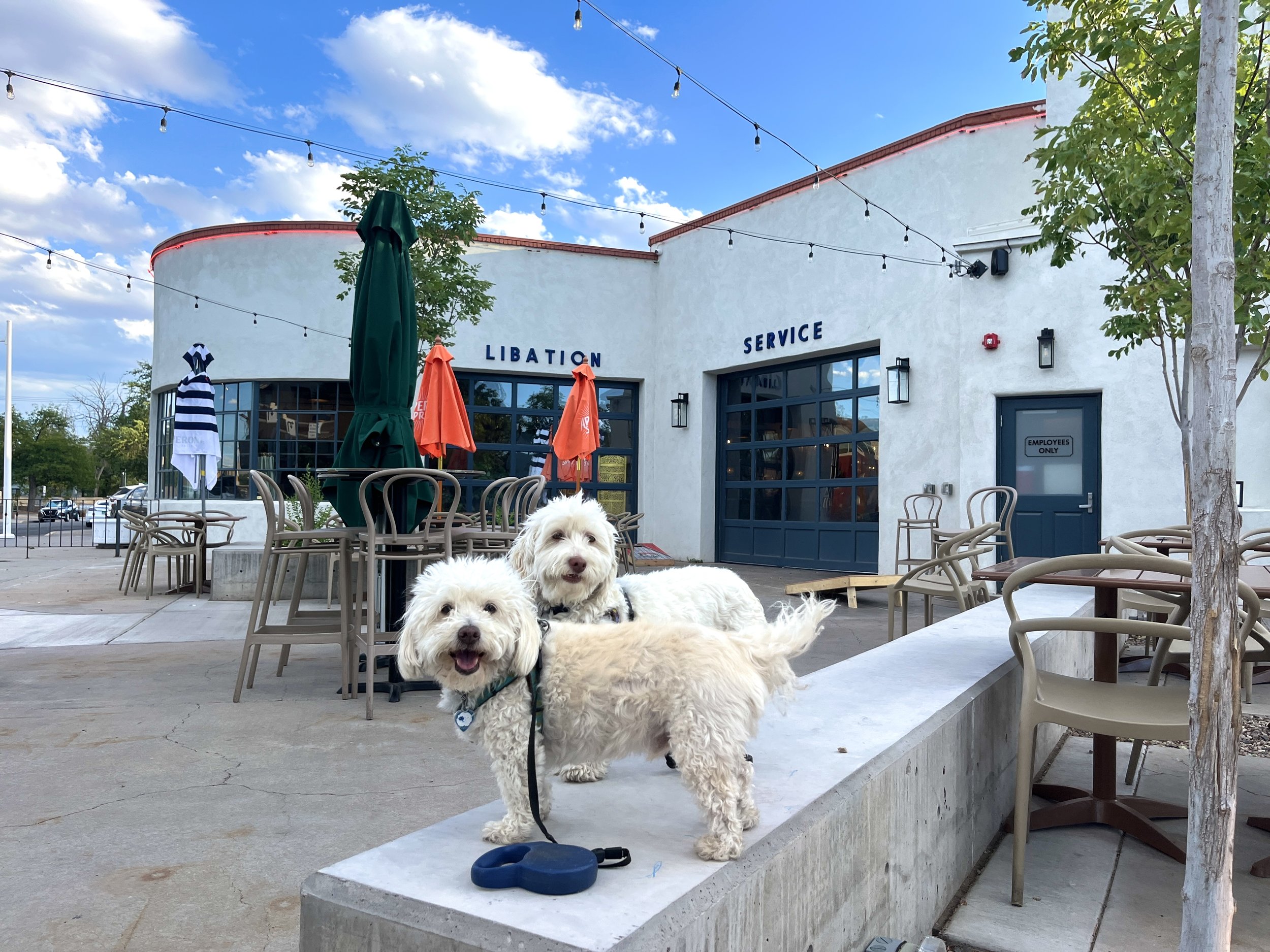 Dog-Friendly Patio (these two not available!)