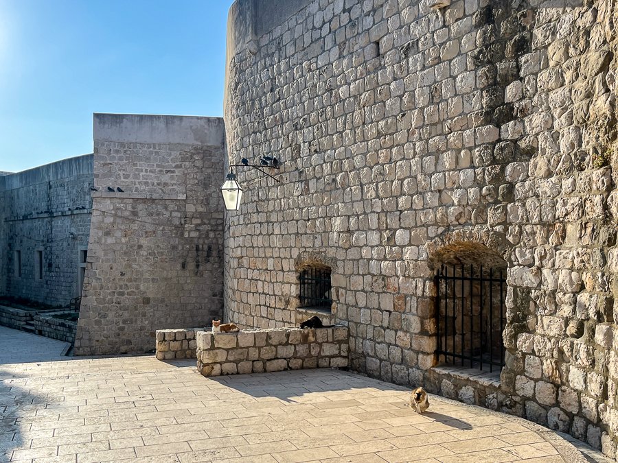 Dubrovnik Wall &amp; Cats