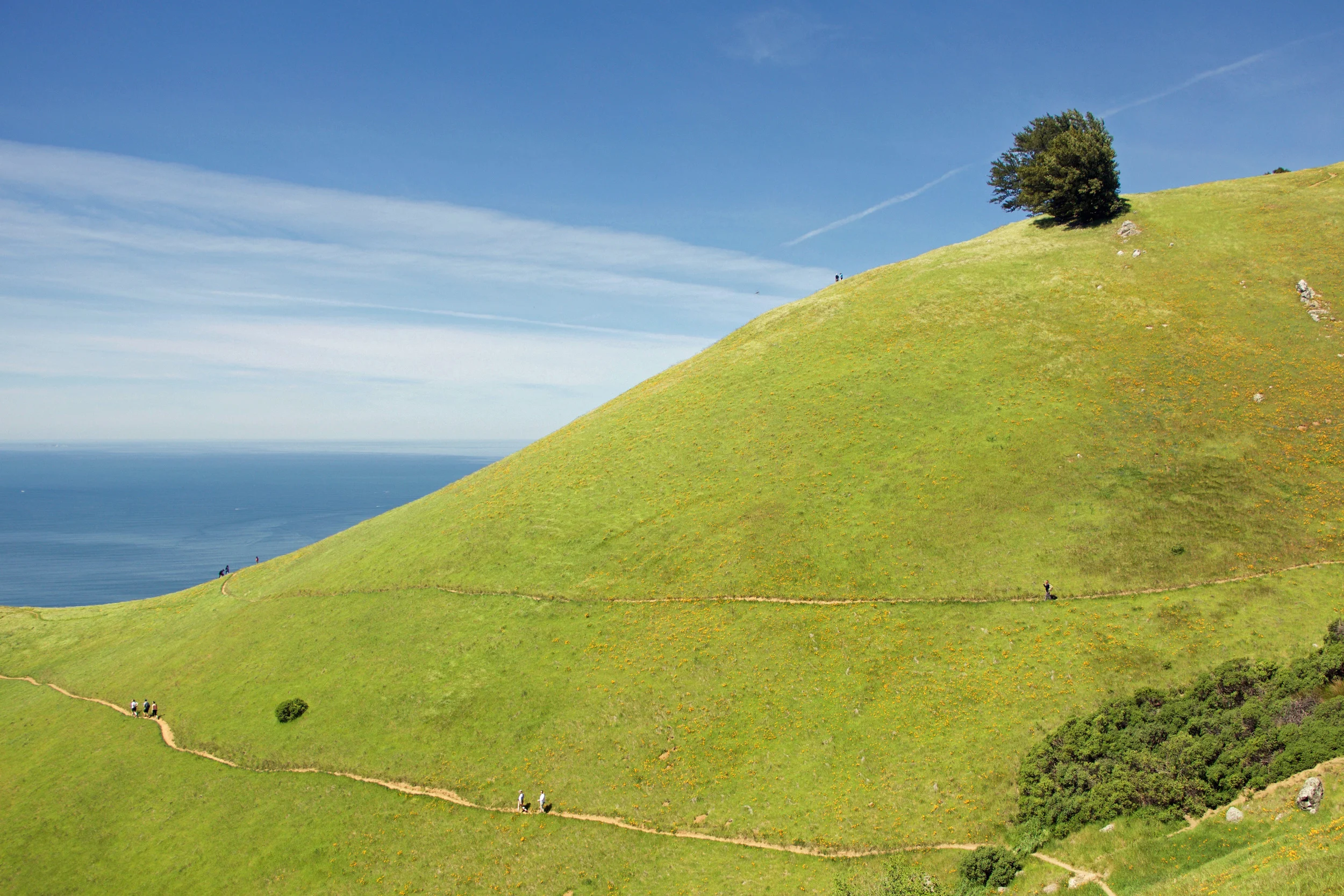 above stinson 1 rd.jpg