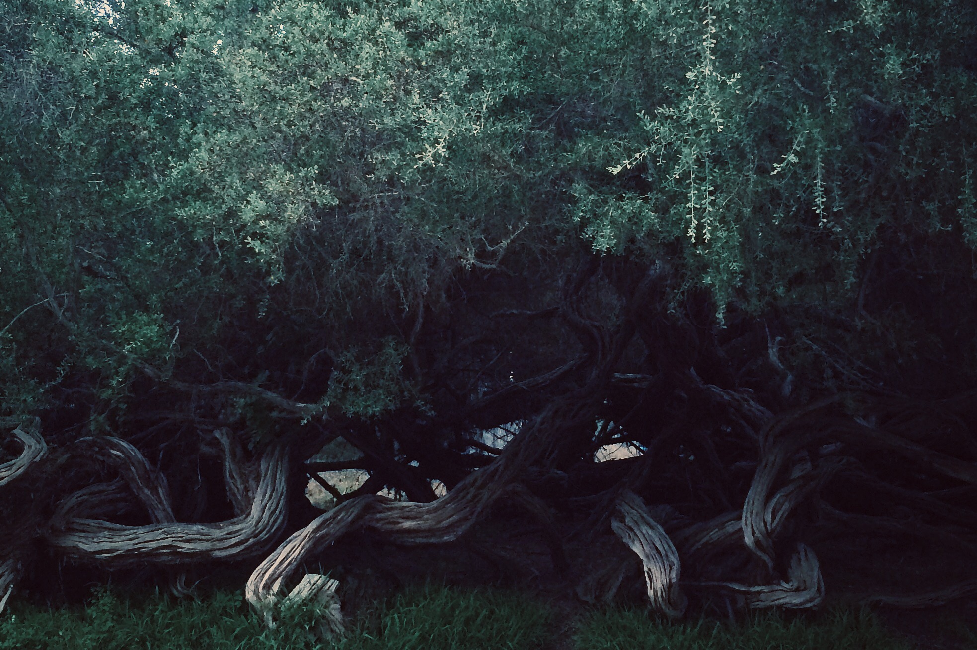 vsco-photo-4.jpg