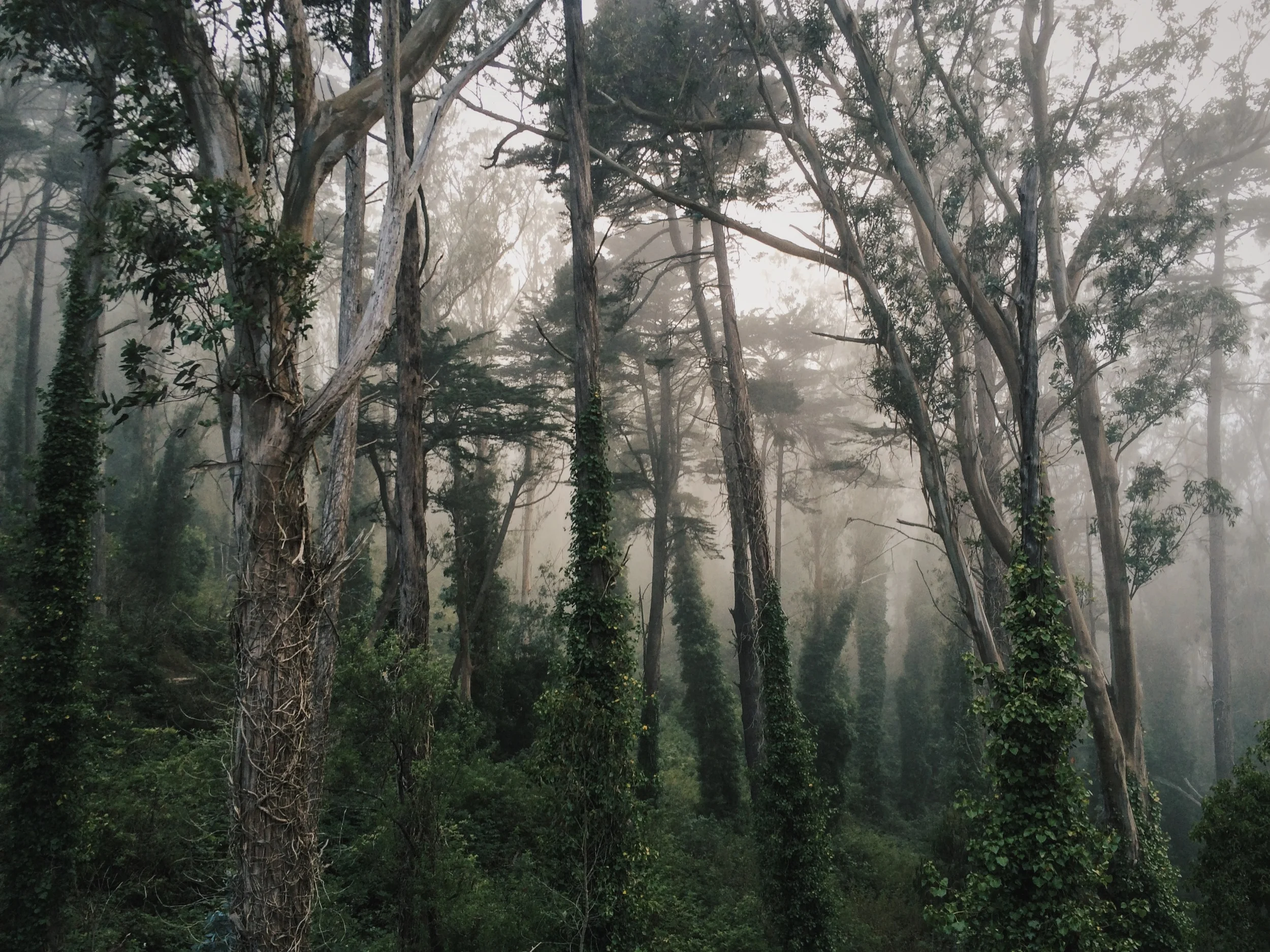vsco-photo-1 (1).jpg